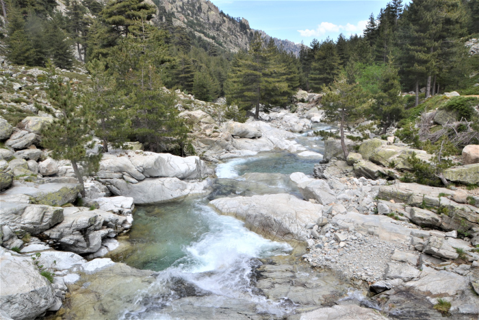 La vallée de la Restonica.